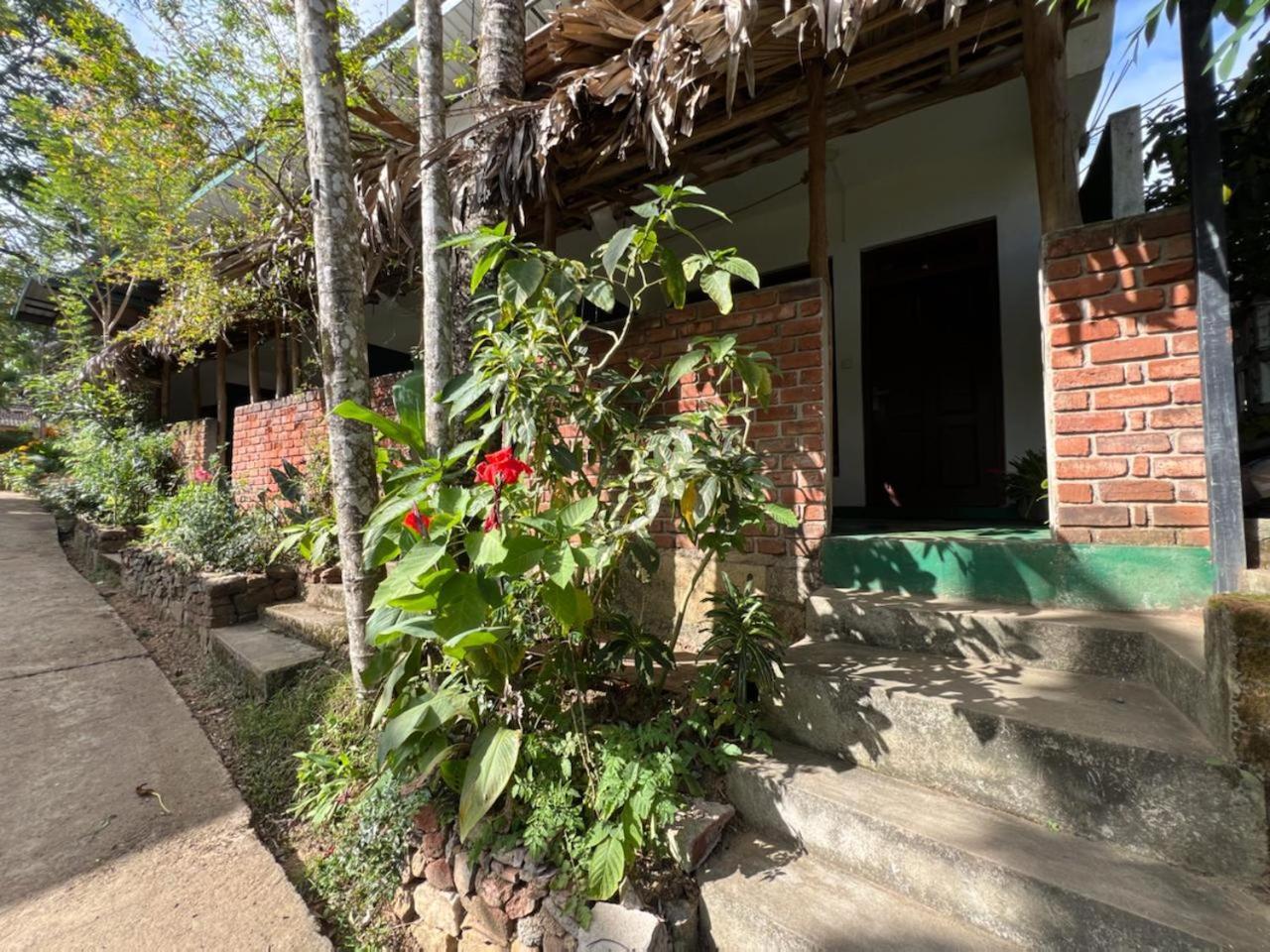 Citadel Of Dreams Ella Apartment Exterior photo
